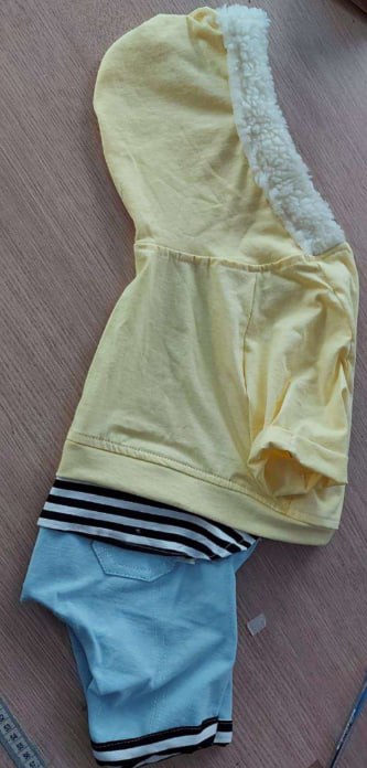 Conjunto pet amarelo com capuz e calça
