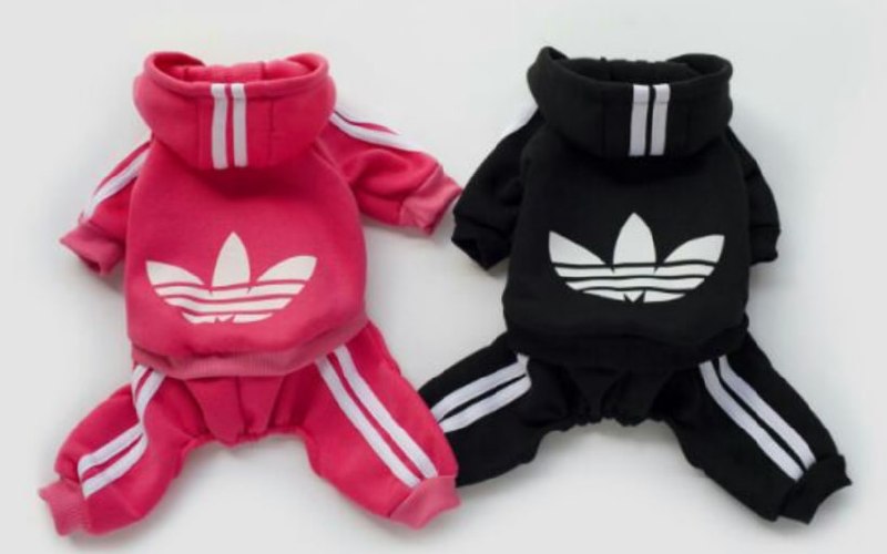 Conjunto pet pronto em moletom rosa e preto