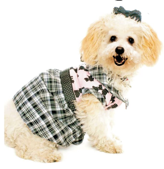 Cão branco usando vestido pet xadrez